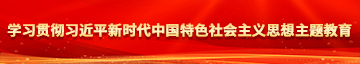 迪斯高AV无码网站学习贯彻习近平新时代中国特色社会主义思想主题教育